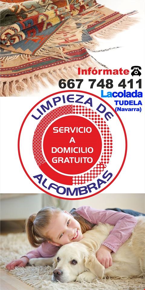Limpieza de Alfombras