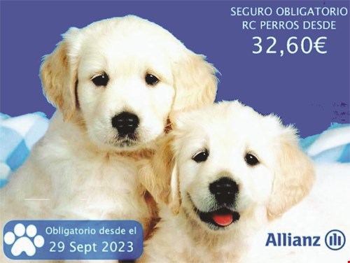 Seguro Obligatorio para Perros.